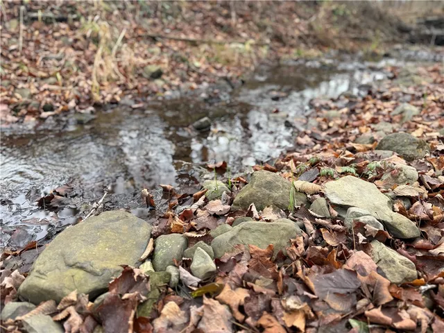 $165,000 | Caswell Road, Freeville, NY 13068