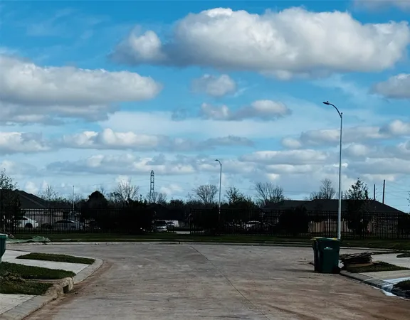 a view of a big yard with a large tree