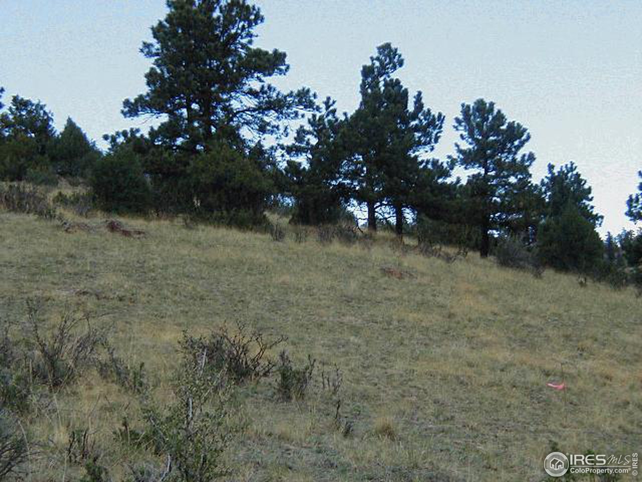 3 South Spring Gulch Road Idaho Springs, CO 80452 - Photo 3 of 3 Gallery Image 3