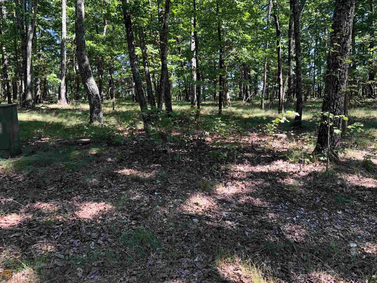 0 Still Hollow Road Menlo, GA 30731 - Photo 1 of 1 Gallery Image 1