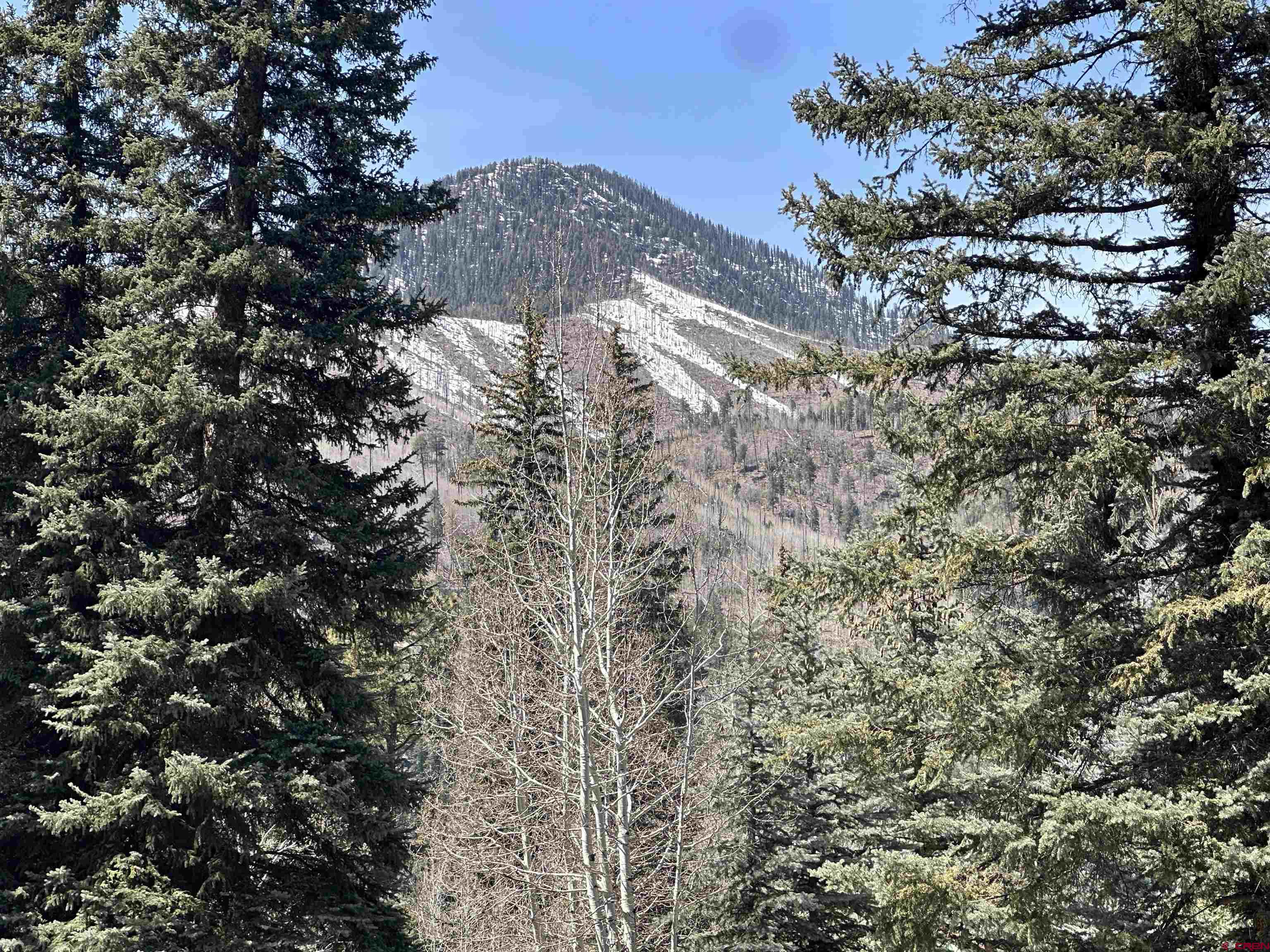 33 Oak Drive Bayfield, CO 81122 - Photo 7 of 8 a view of a forest with a tree