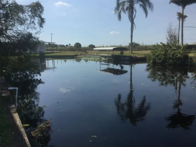 a view of a lake with a palm tree