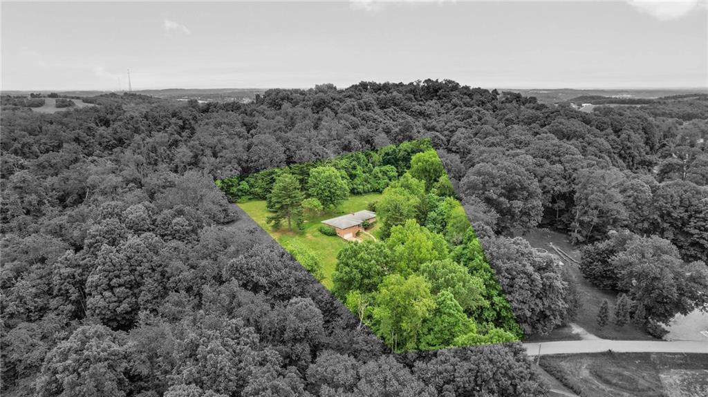 51 Lover Jonestown Road Charleroi, PA 15022 - Photo 21 of 24 a view of a bunch of trees and bushes