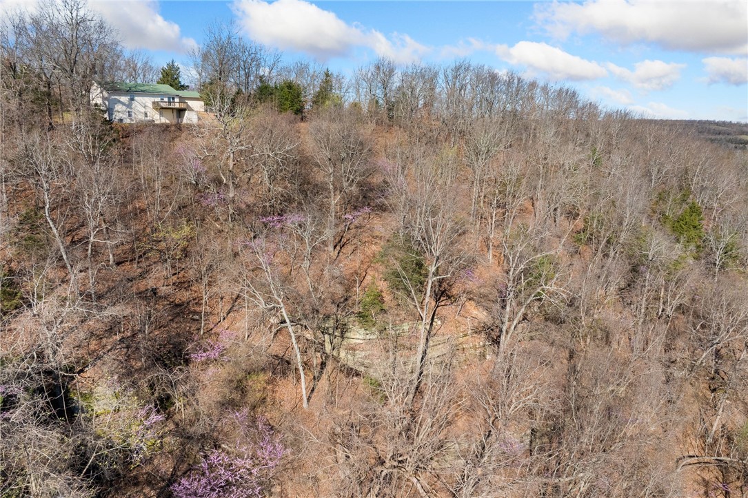10974 Ricks Drive Harrison, AR 72601 - Photo 48 of 59 Bird's eye view