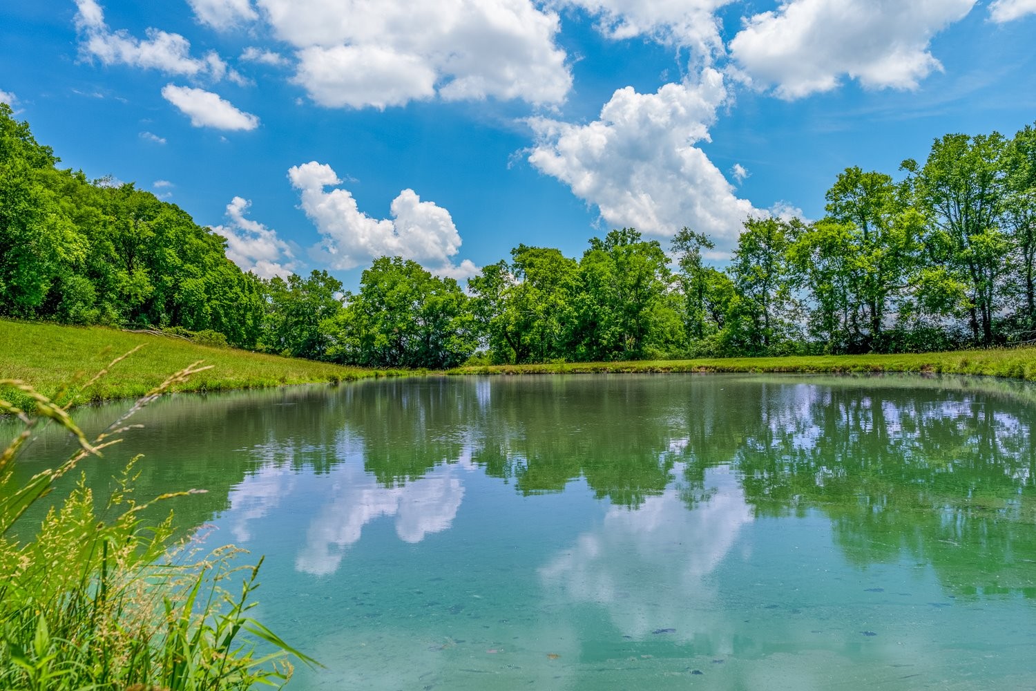 2200 Sugar Ridge Road Spring Hill, TN 37174 - Photo 8 of 41 a view of a lake in a garden