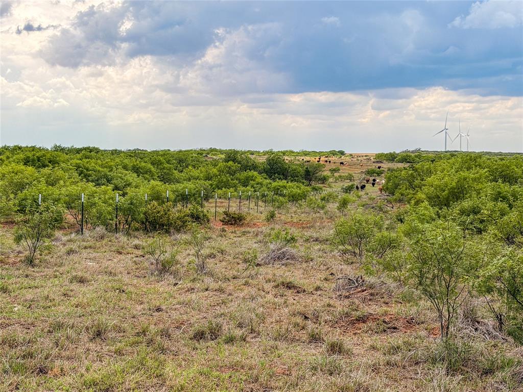 235 227 Haskell Tx 79521 Haskell, TX 79521 - Photo 7 of 40 a view of a yard with plants and wooden fence