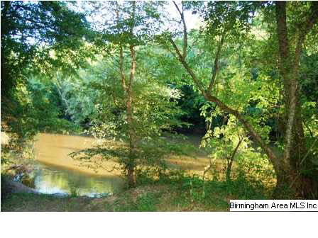 509 County Road, Unit 40 Woodland, AL 36280 - Photo 4 of 21
