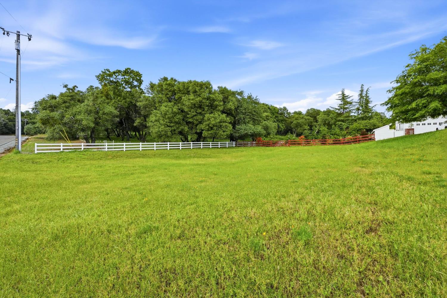 6380 Butterfield Way Placerville, CA 95667 - Photo 16 of 93 a view of a big yard with a tree