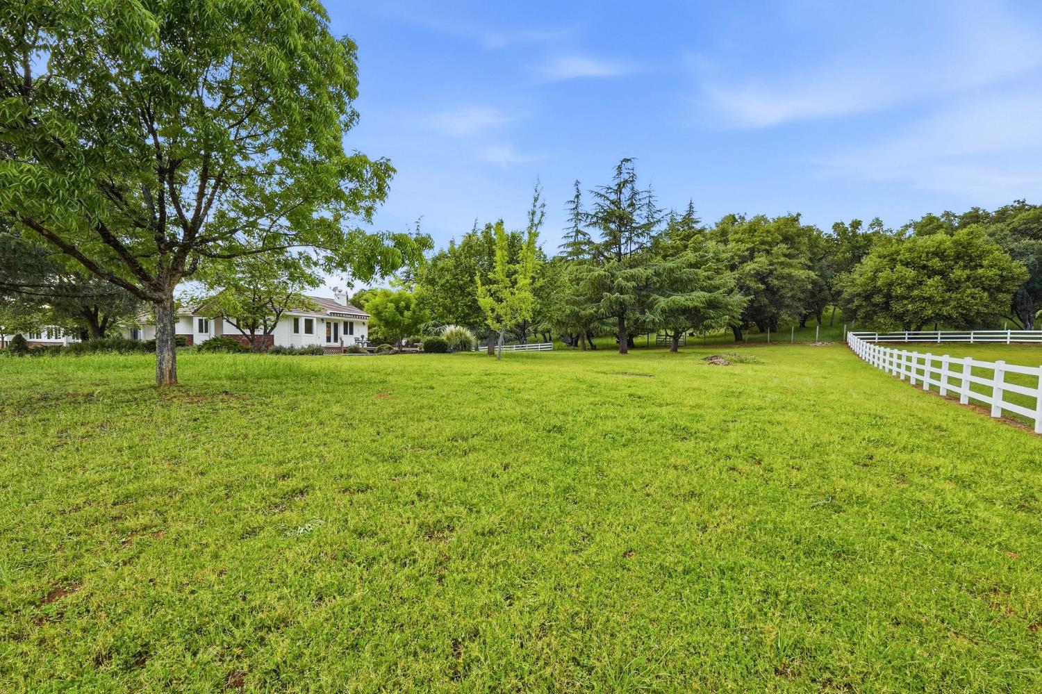 6380 Butterfield Way Placerville, CA 95667 - Photo 18 of 93