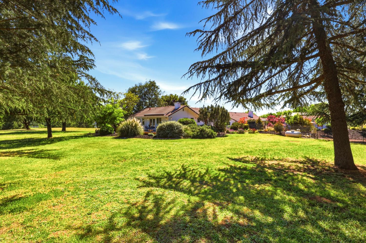 6380 Butterfield Way Placerville, CA 95667 - Photo 83 of 93 a view of a field with tree s