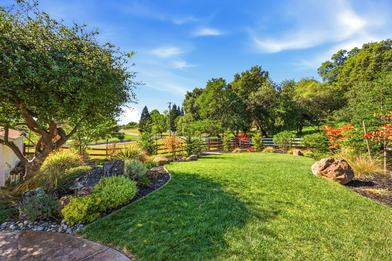 6380 Butterfield Way Placerville, CA 95667 - Photo 10 of 93