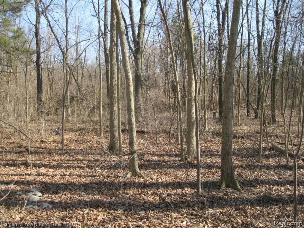 V/l Reese Road Clarkston, MI 48348 - Photo 23 of 24 022.JPG