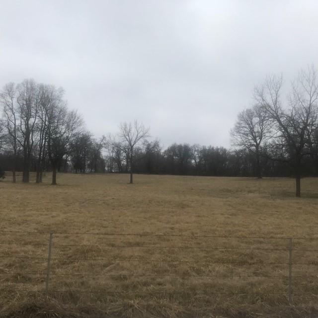 Xx Xx Foliage Road Joplin, MO 64804 - Photo 1 of 1 1