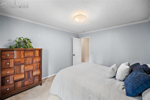 693 Kutsu Ridge Road Florissant, CO 80816 - Photo 6 of 21 Gallery Image 6
