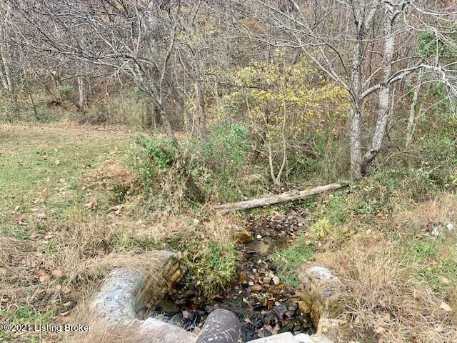 650 Lawler Road Cub Run, KY 42729 - Photo 10 of 23 spring run off