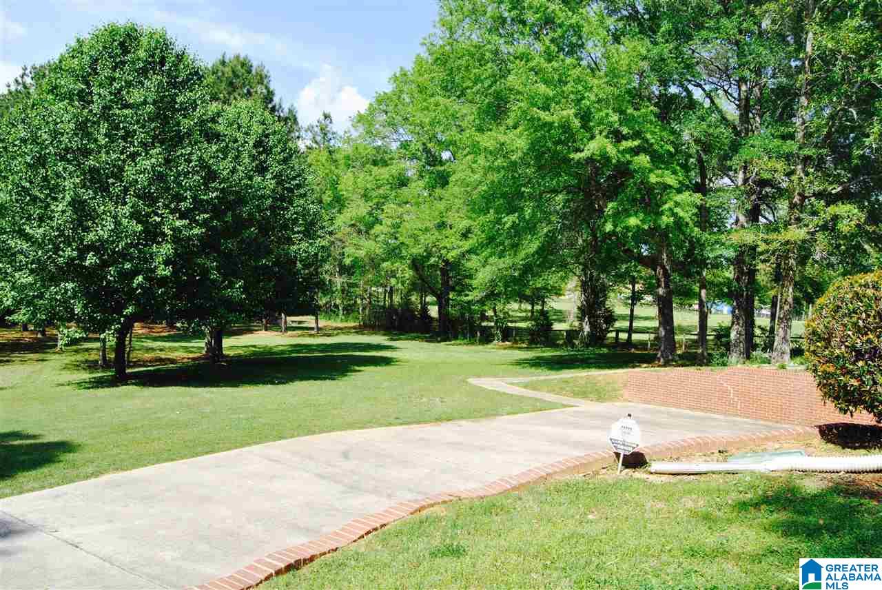 7348 Chelsea Road Columbiana, AL 35051 - Photo 36 of 38