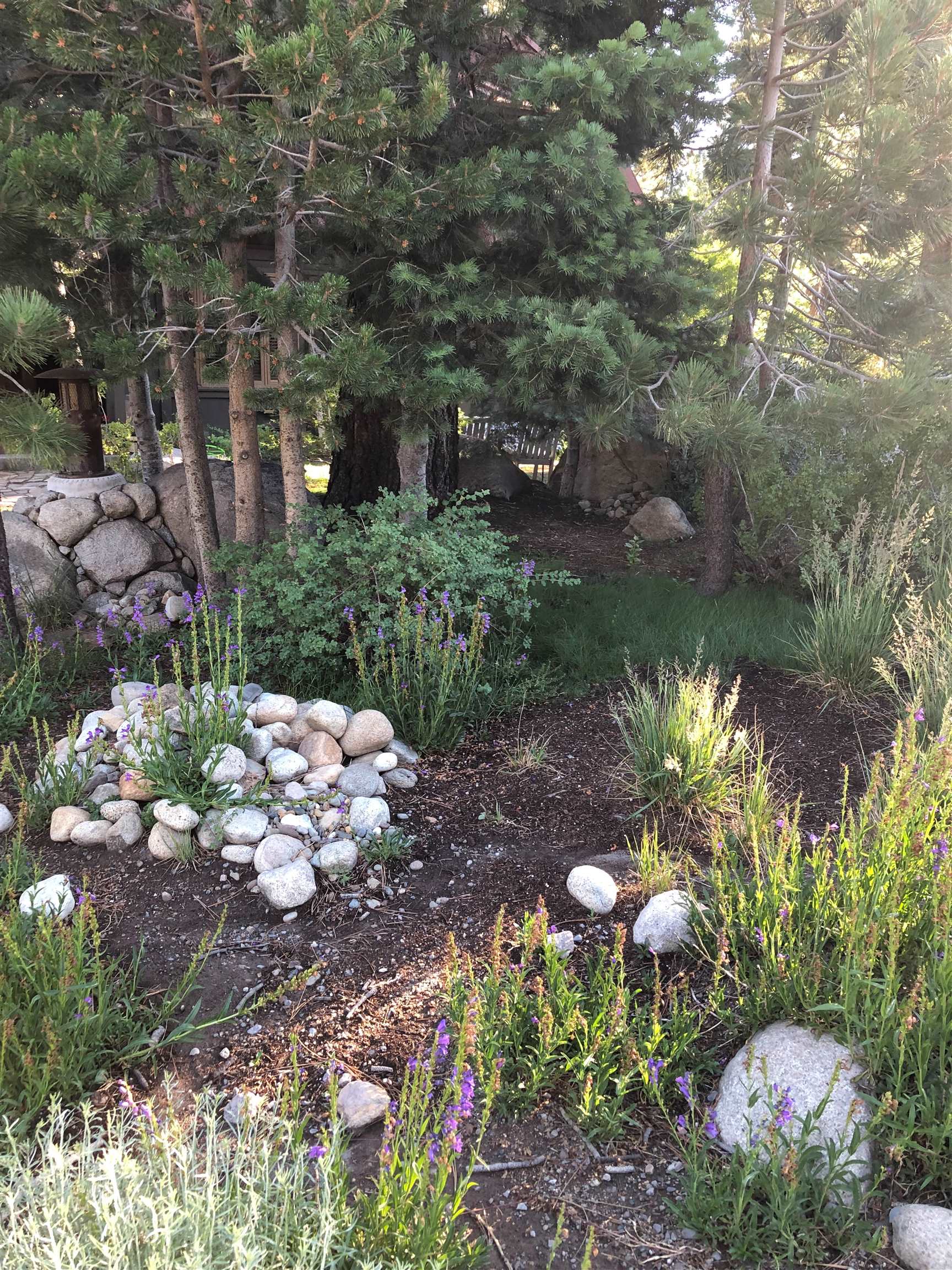 52 Shady Rest Road Mammoth Lakes, CA 93546 - Photo 42 of 43 Gallery Image 42