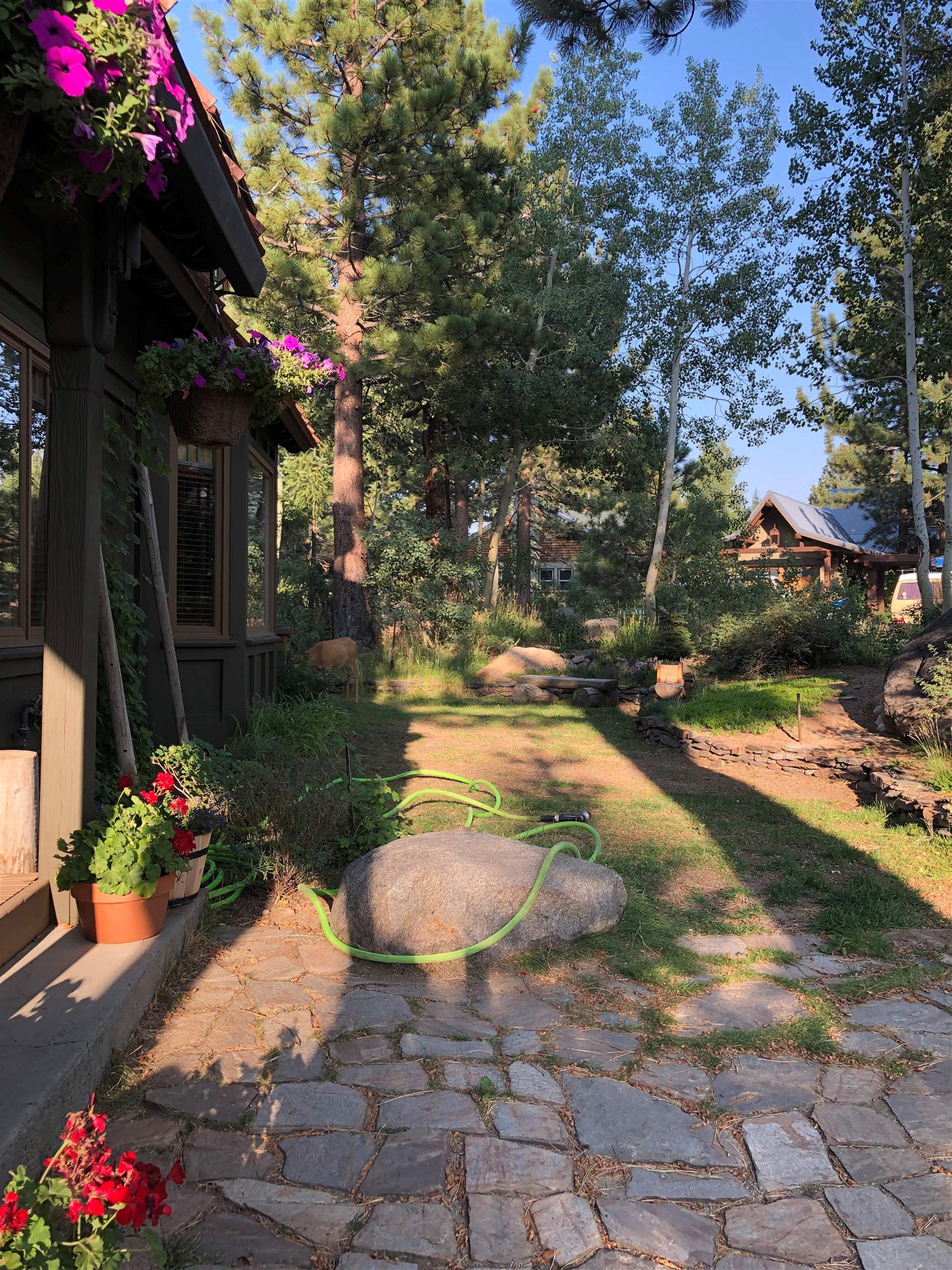 52 Shady Rest Road Mammoth Lakes, CA 93546 - Photo 43 of 43 Gallery Image 43