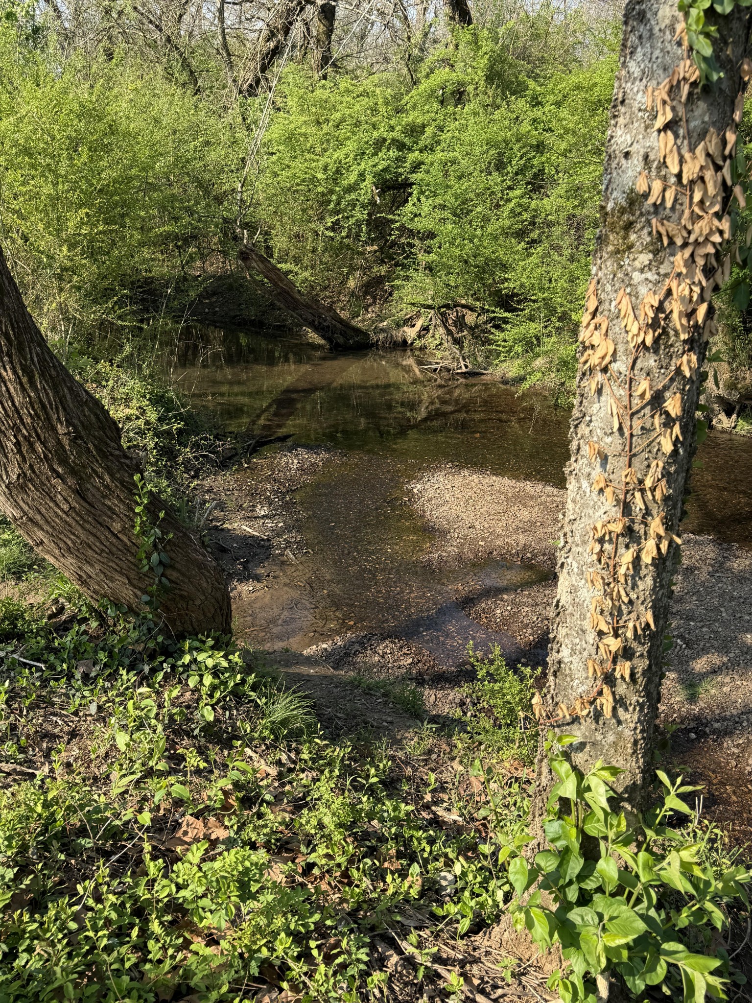 229 Stonewall Road Columbia, TN 38401 - Photo 3 of 61