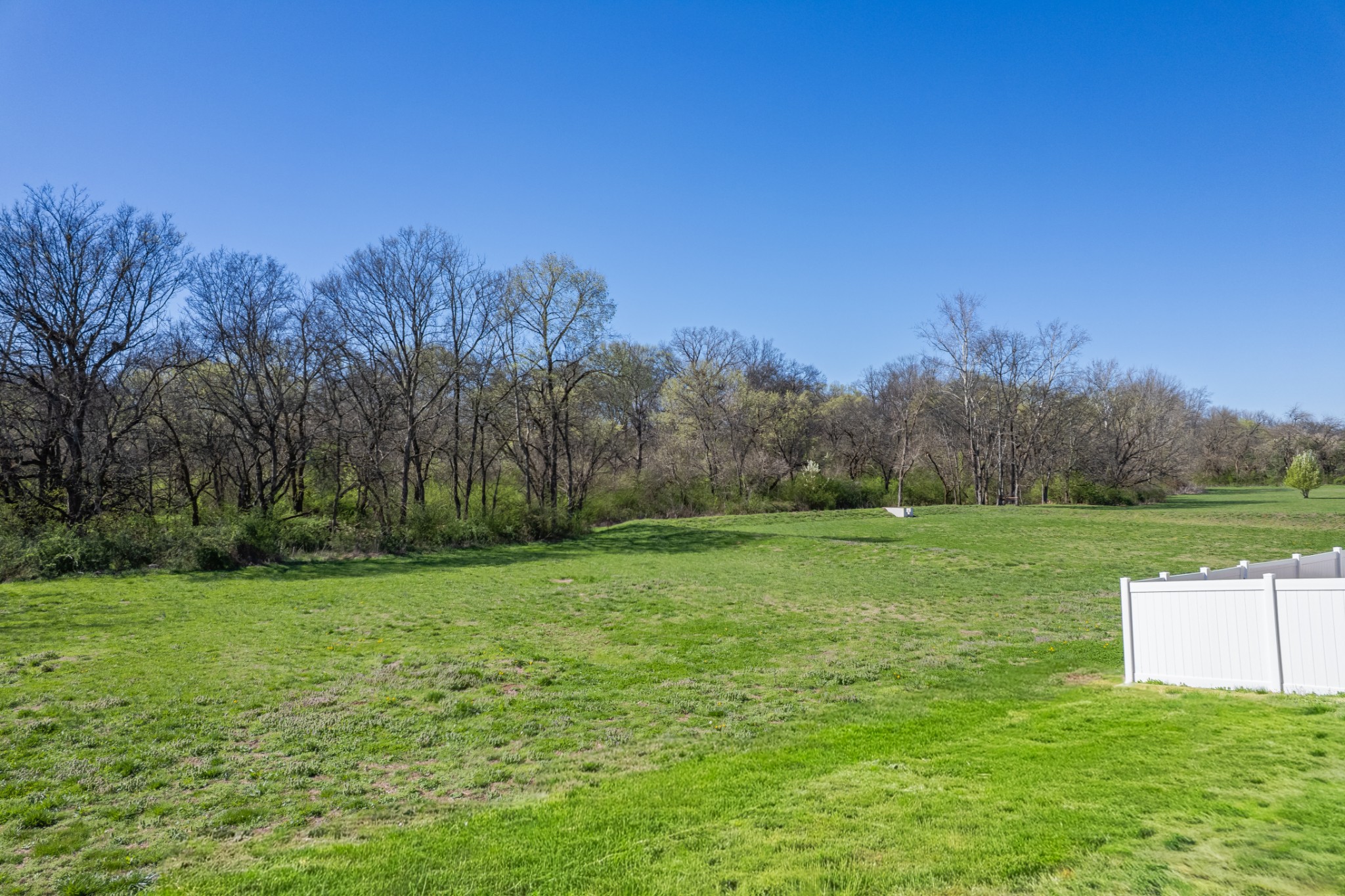 229 Stonewall Road Columbia, TN 38401 - Photo 56 of 61 a view of a grassy field with trees in the background