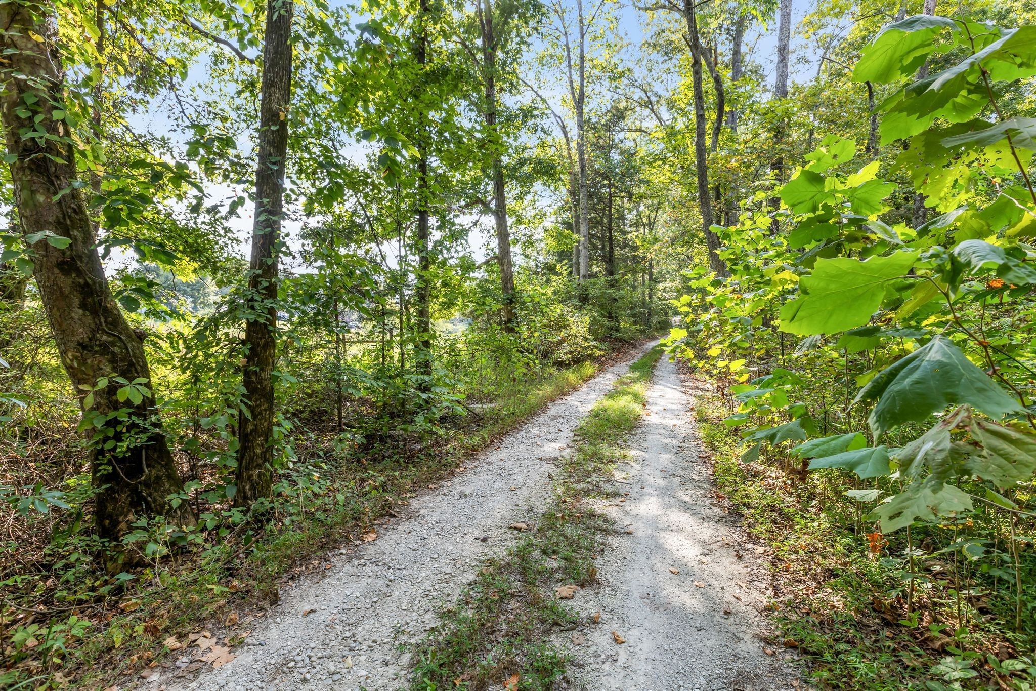 7936 Crow Cut Road Northwest Fairview, TN 37062 - Photo 29 of 36 THE PRIVATE DRIVEWAY TO THE HOME.