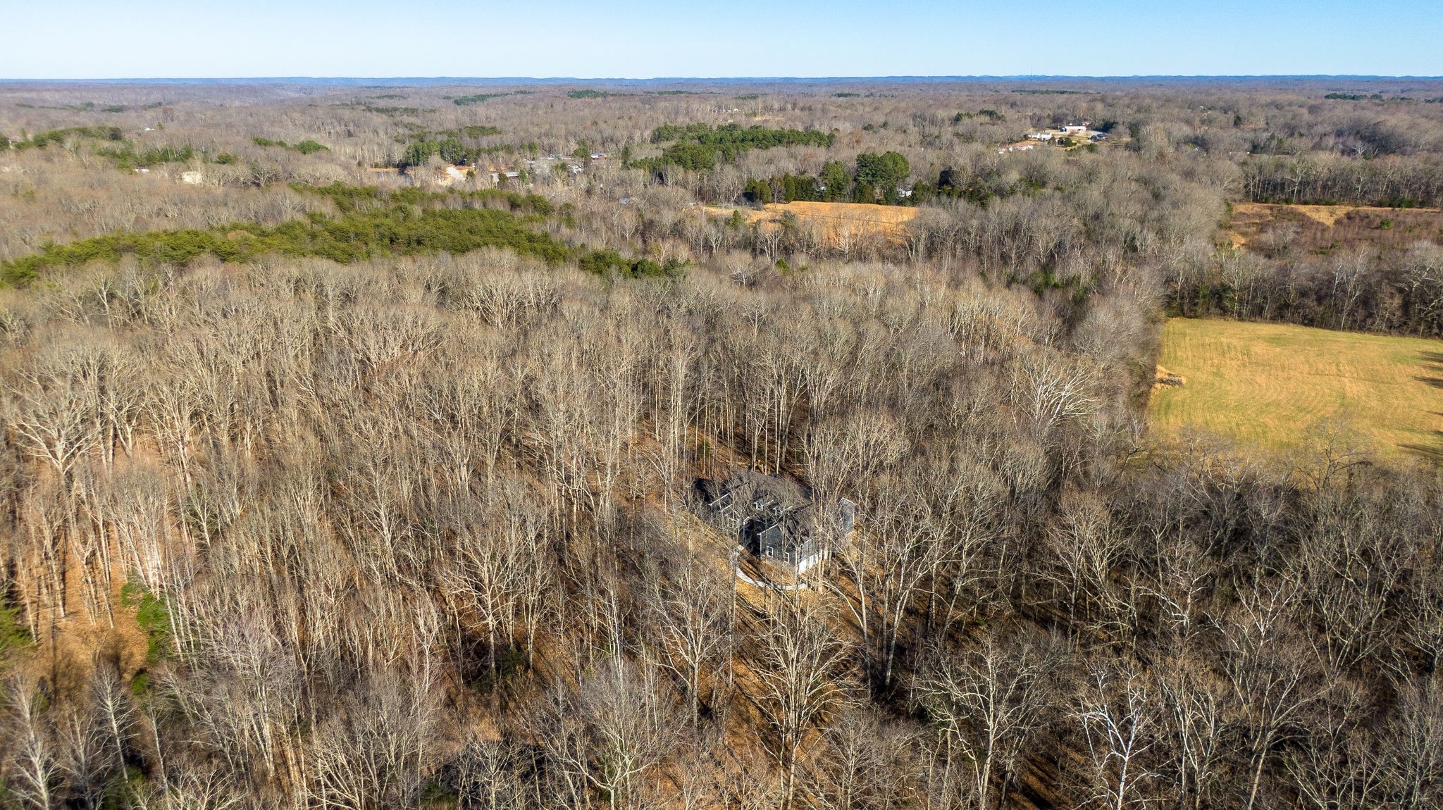 7936 Crow Cut Road Northwest Fairview, TN 37062 - Photo 35 of 36
