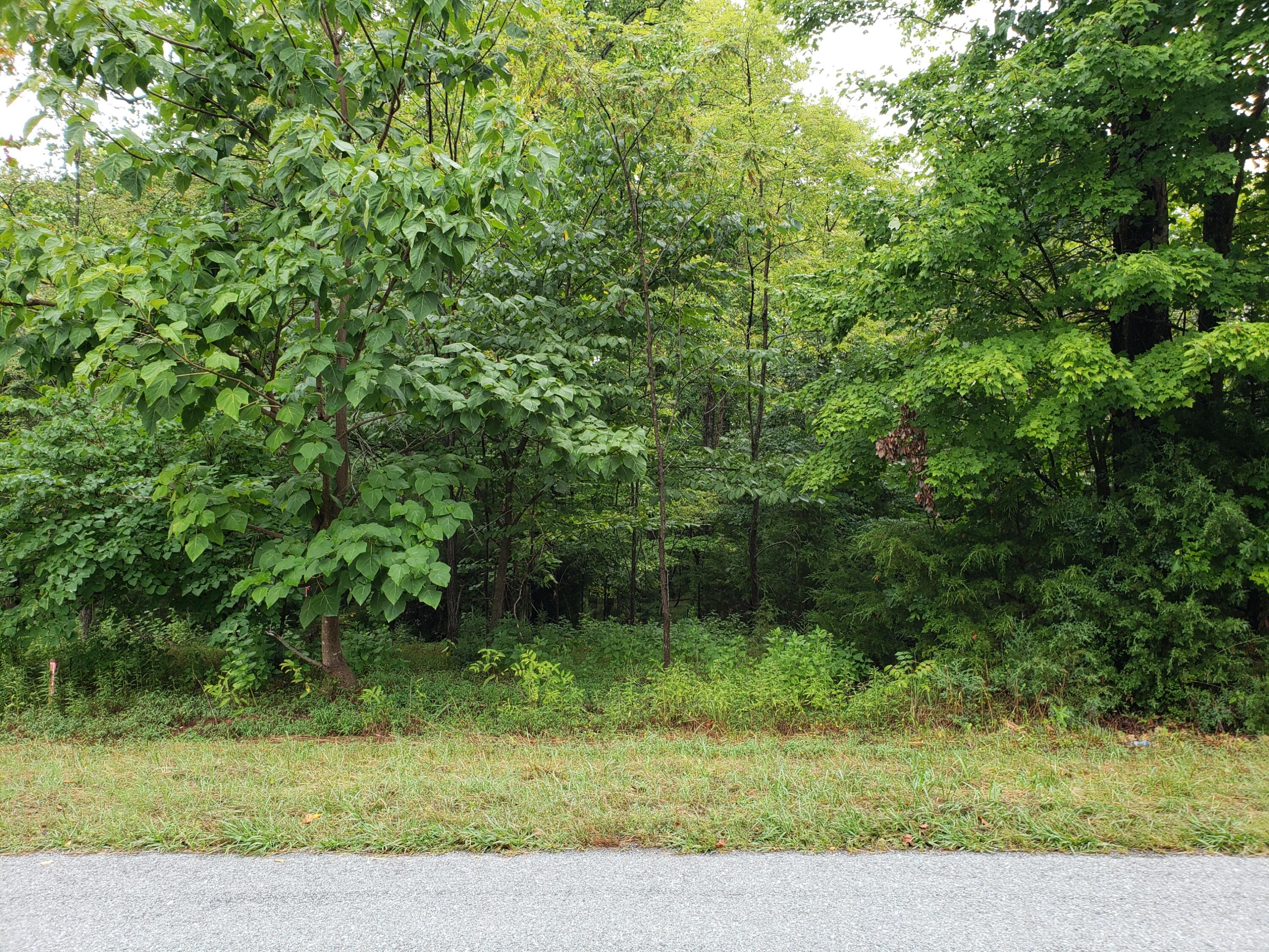 Lot 7 Paynes Road Penhook, VA 24137 - Photo 1 of 3 a view of a garden