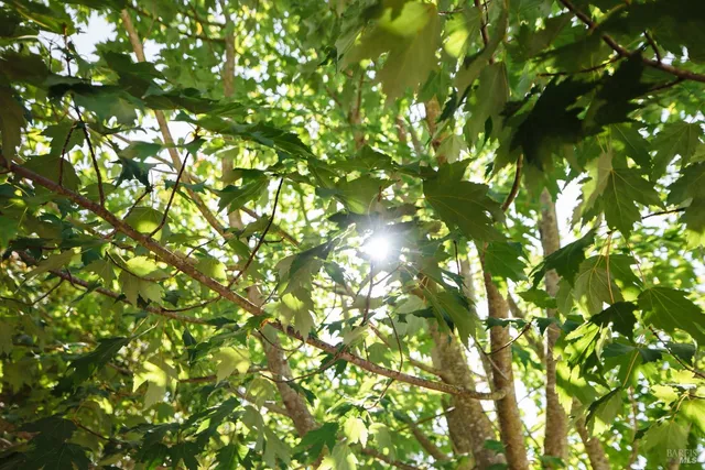 $1,249,000 | 218 Jacquelyn Lane, Petaluma, CA 94952