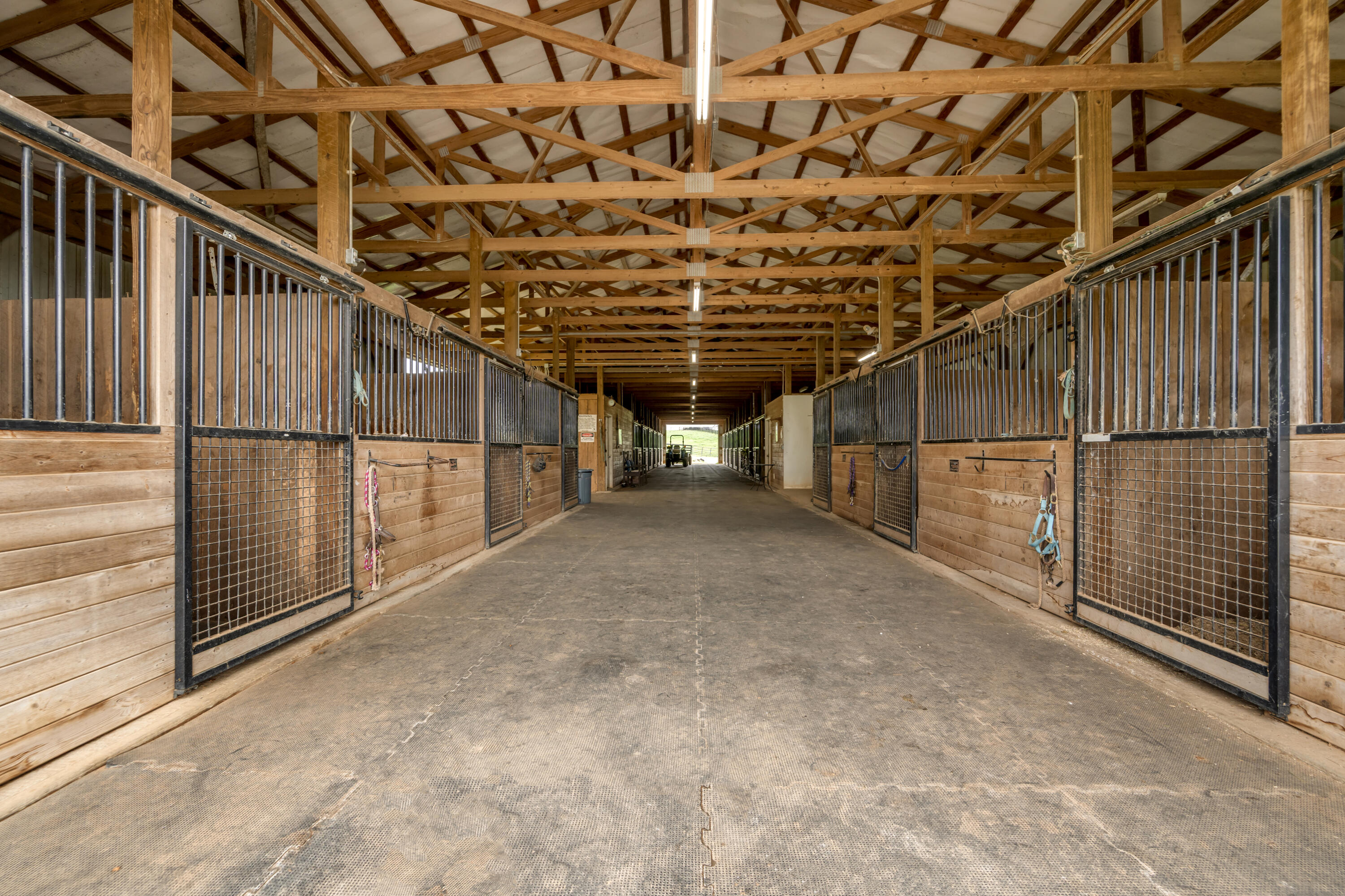 3200 Fishers Mill Road Georgetown, KY 40324 - Photo 12 of 62 TDB_3893