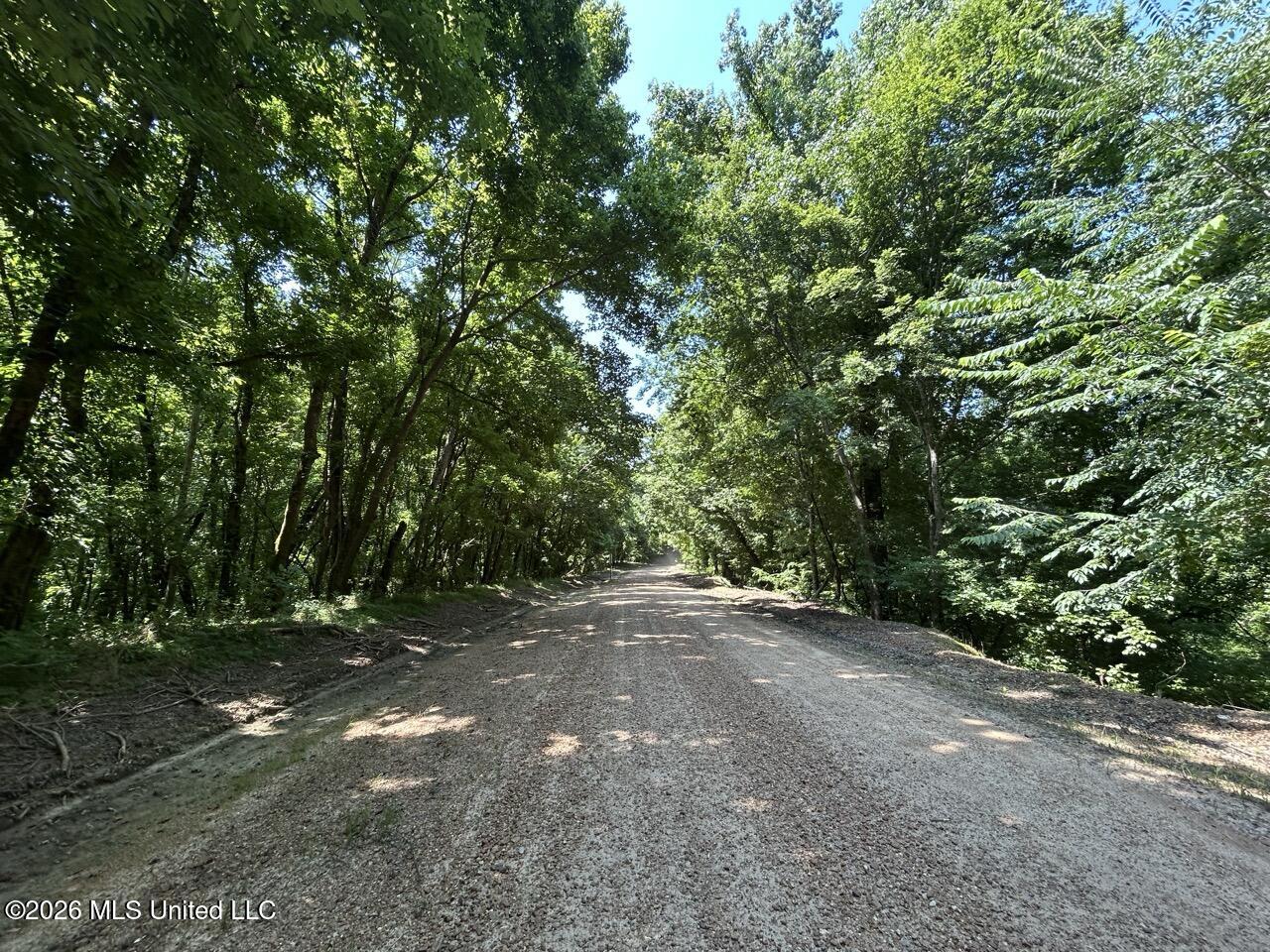 Annas Bottom Road Natchez, MS 39120 - Photo 36 of 48 IMG_4808 Large