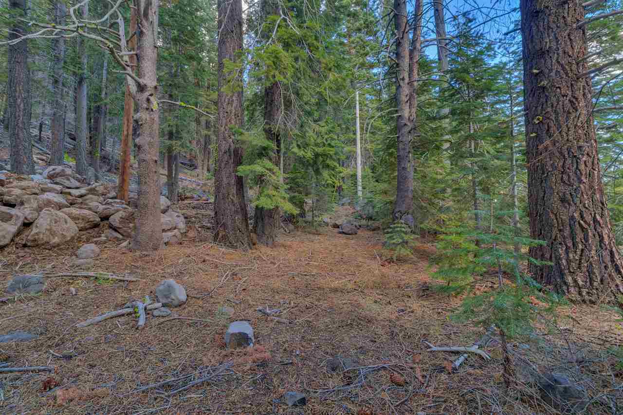 7595 River Road Olympic Valley, CA 96146 - Photo 8 of 10 Gallery Image 8