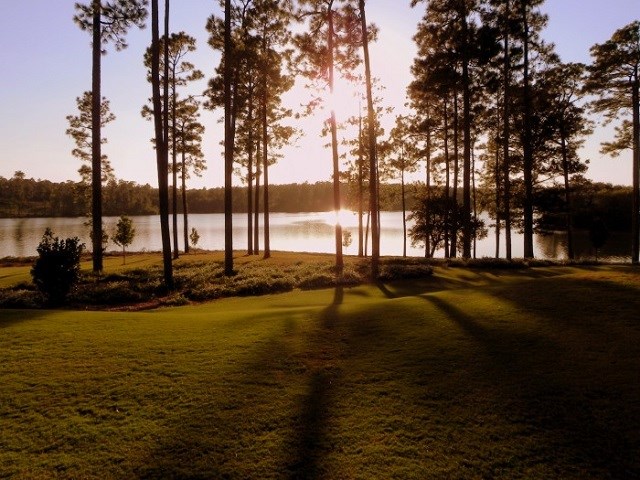 16 Lakeview Circle Loxley, AL 36551 - Photo 4 of 7