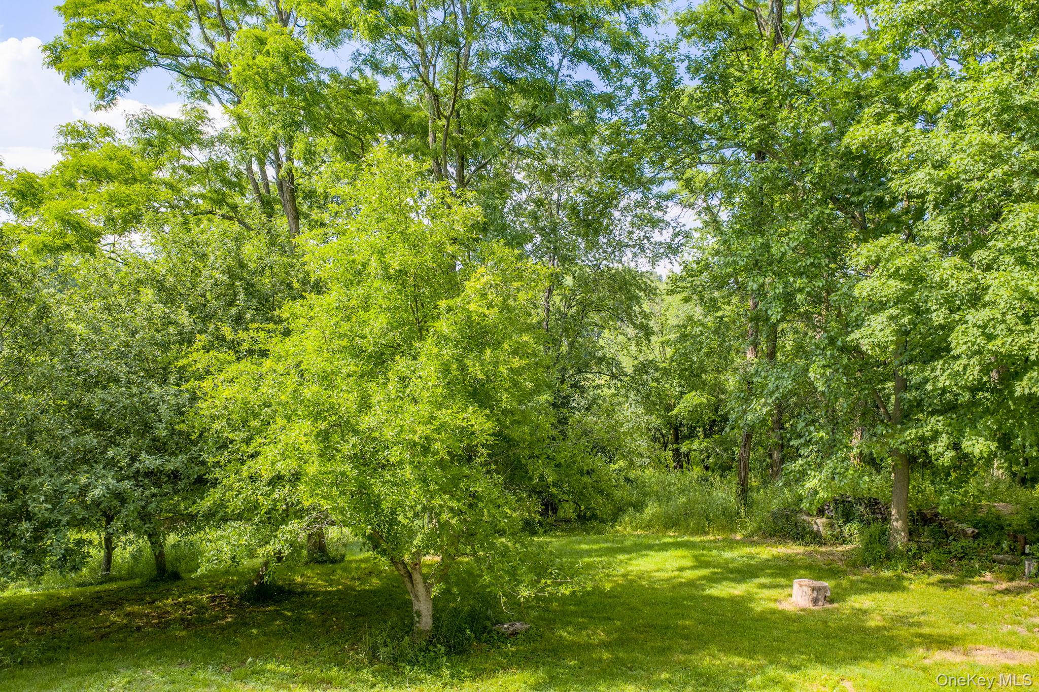 633 Ridgebury Road Slate Hill, NY 10973 - Photo 46 of 48