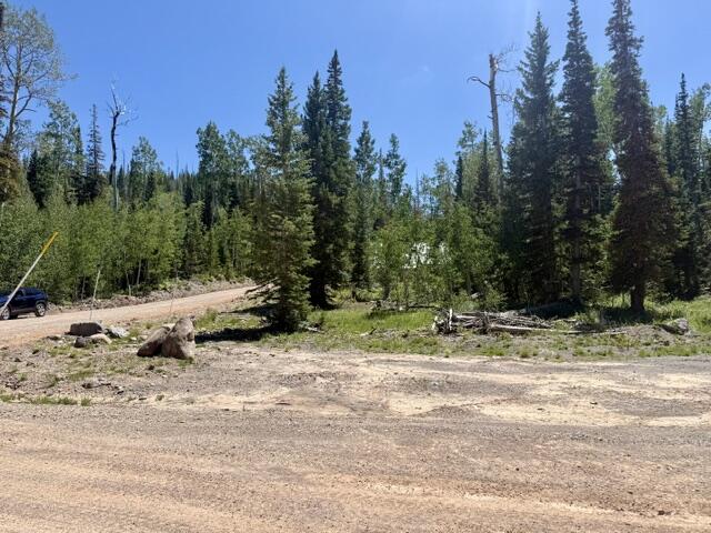263 Hidden Lake Road, Unit LOT #5 Brian Head, UT 84719 - Photo 6 of 10 IMG_7181