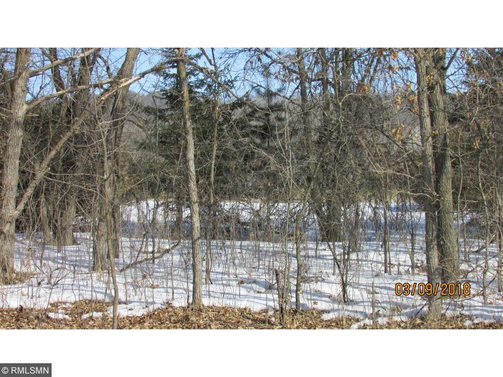 Xxxx Rice Lake Road Somerset, WI 54025 - Photo 1 of 1 Gallery Image 1