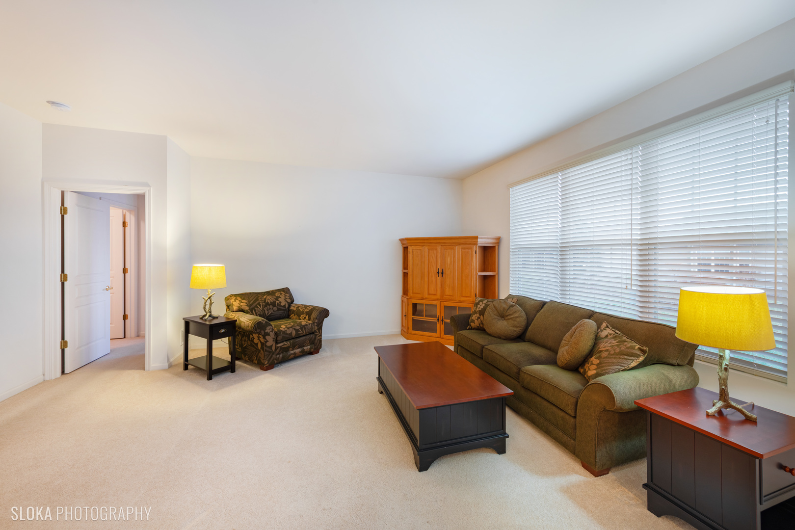 11872 Ludbury Ridge Huntley, IL 60142 - Photo 5 of 20 Gallery Image 5