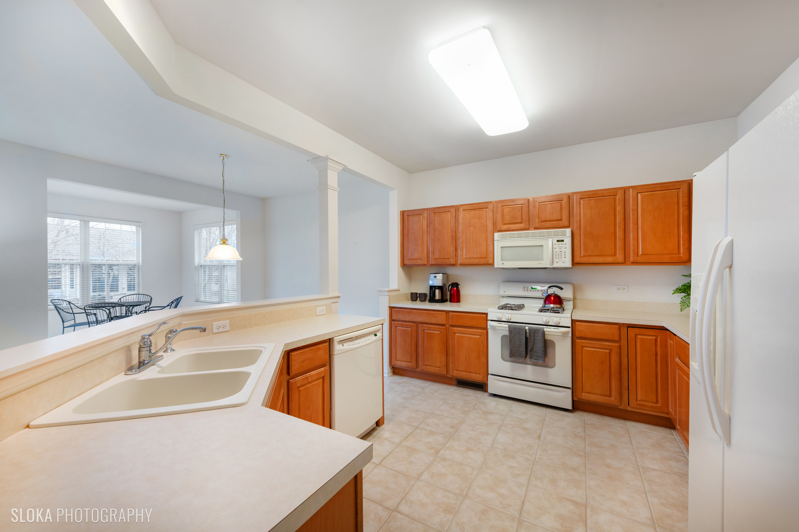 11872 Ludbury Ridge Huntley, IL 60142 - Photo 7 of 20 Gallery Image 7