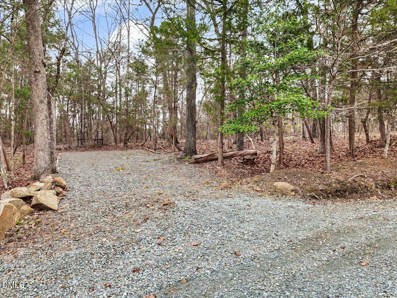 67 Bingham Ridge Drive Pittsboro, NC 27312 - Photo 77 of 82 a backyard of a house with lots of green space