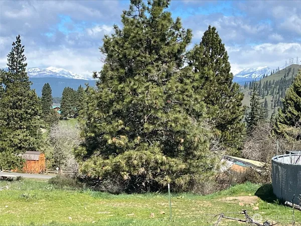 $100,000 | 881 Sunlight Drive, Cle Elum, WA 98922