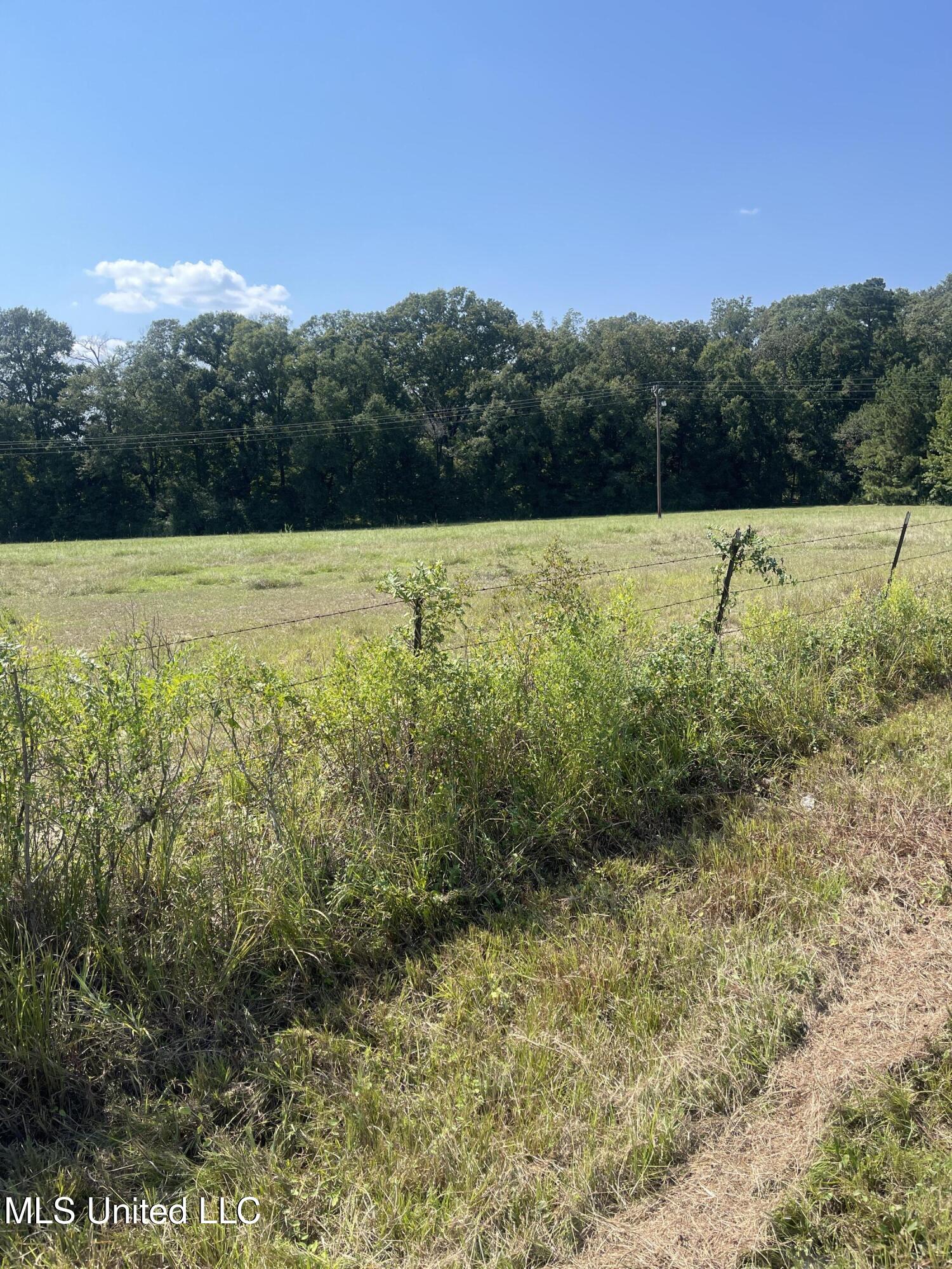 0 Brownswell Road Wesson, MS 39191 - Photo 11 of 13 IMG_4252