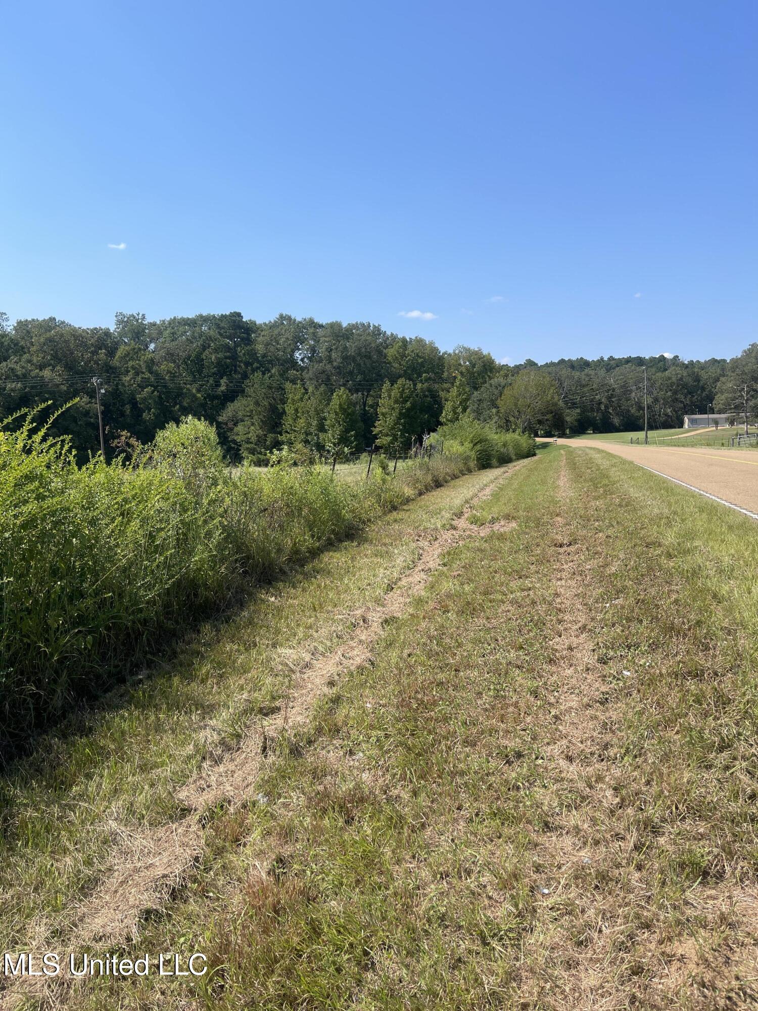 0 Brownswell Road Wesson, MS 39191 - Photo 13 of 13 IMG_4254