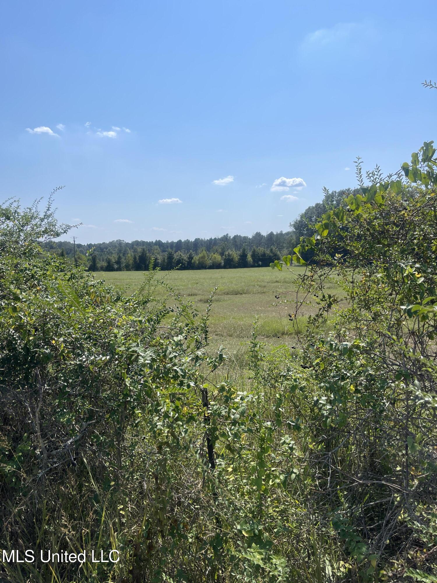 0 Brownswell Road Wesson, MS 39191 - Photo 2 of 13 IMG_4243