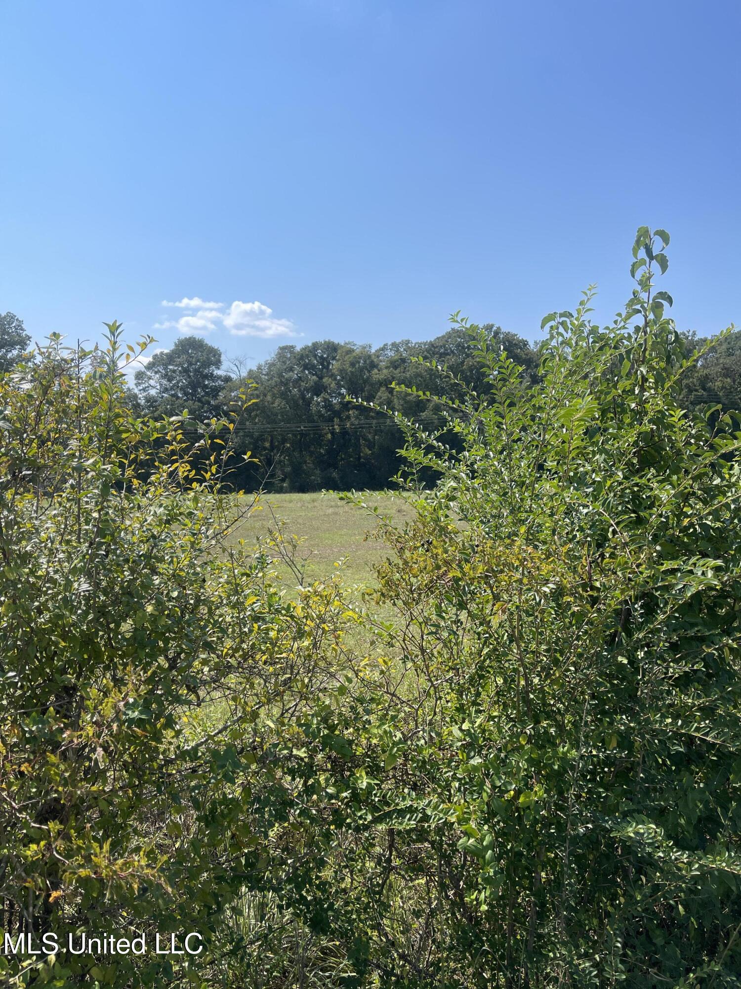 0 Brownswell Road Wesson, MS 39191 - Photo 3 of 13 IMG_4244