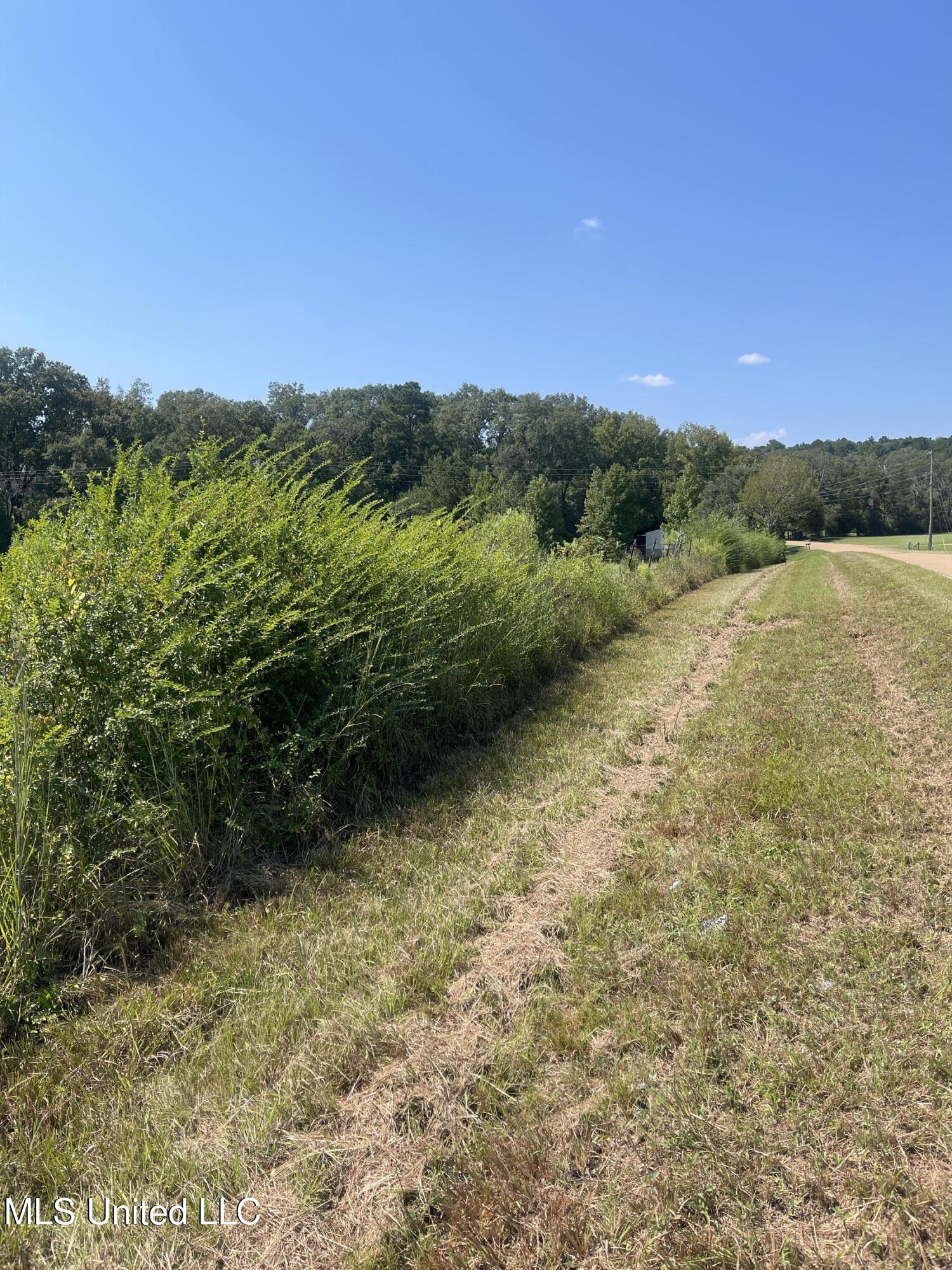 0 Brownswell Road Wesson, MS 39191 - Photo 4 of 13 IMG_4245