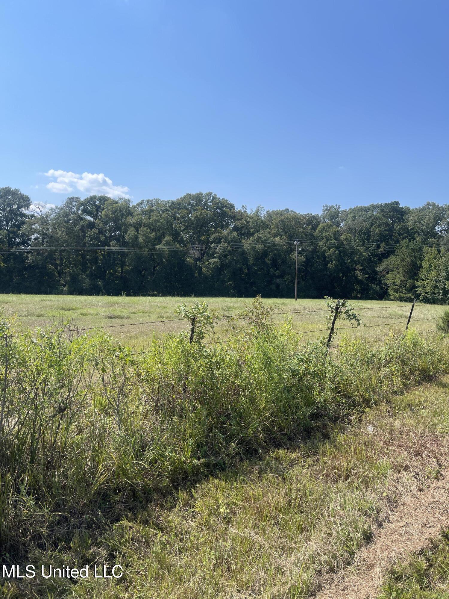 0 Brownswell Road Wesson, MS 39191 - Photo 5 of 13 IMG_4246