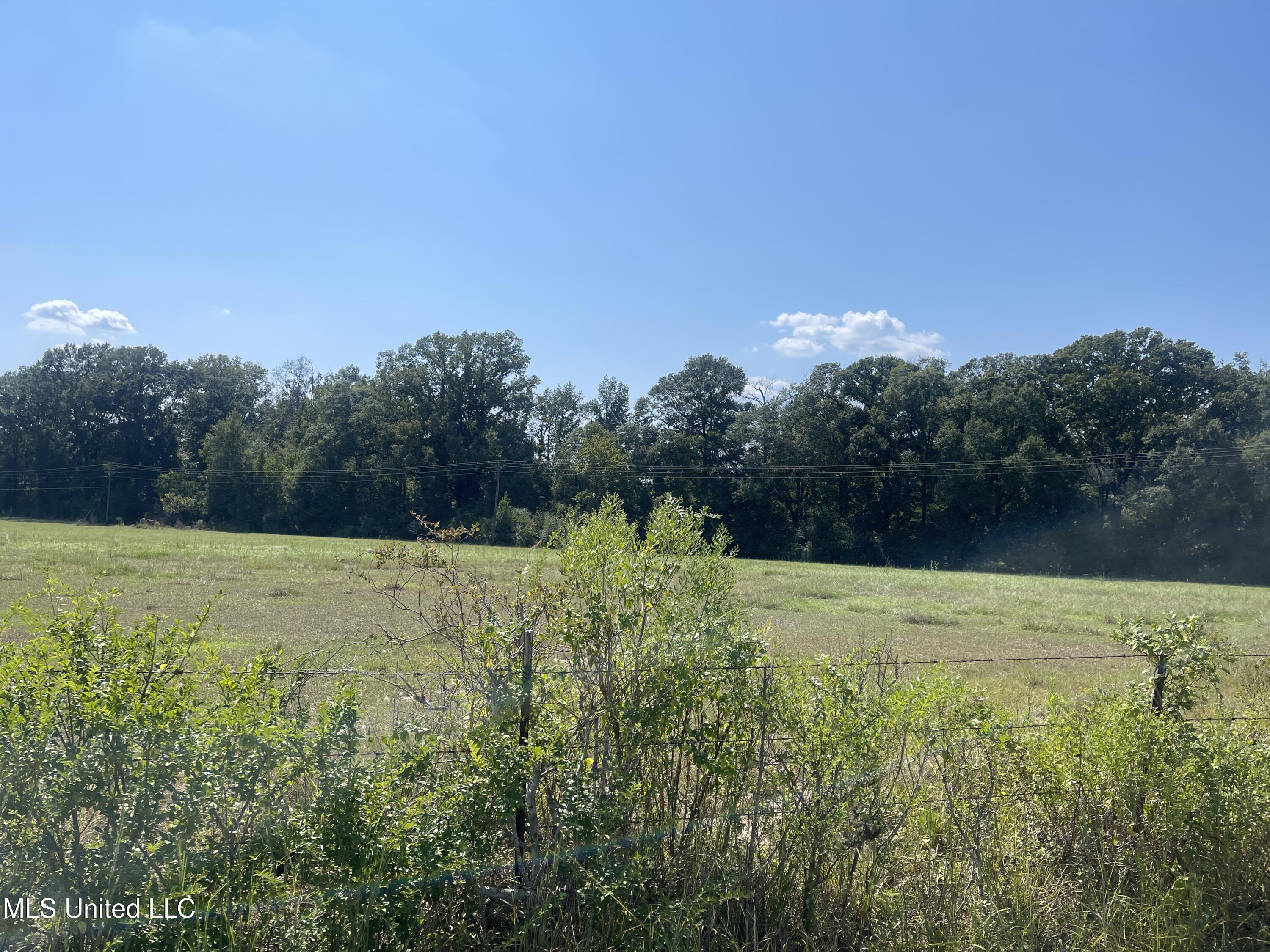 0 Brownswell Road Wesson, MS 39191 - Photo 6 of 13 IMG_4247