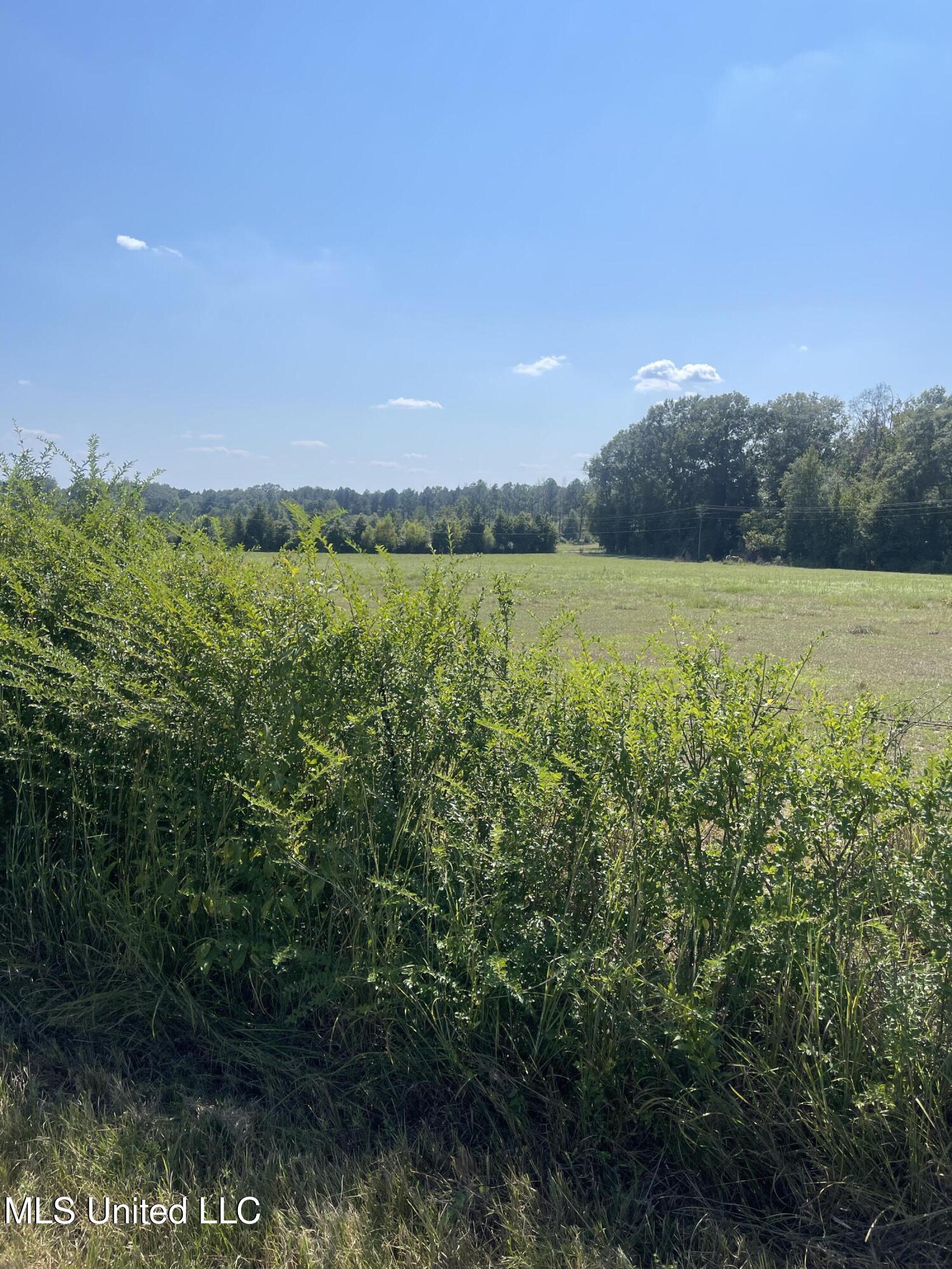 0 Brownswell Road Wesson, MS 39191 - Photo 7 of 13 IMG_4248