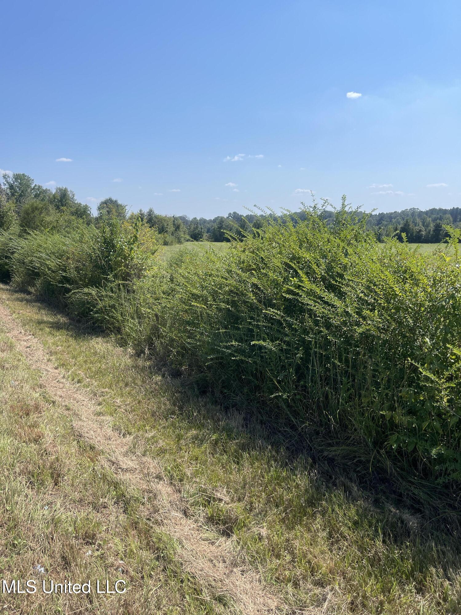 0 Brownswell Road Wesson, MS 39191 - Photo 8 of 13 IMG_4249