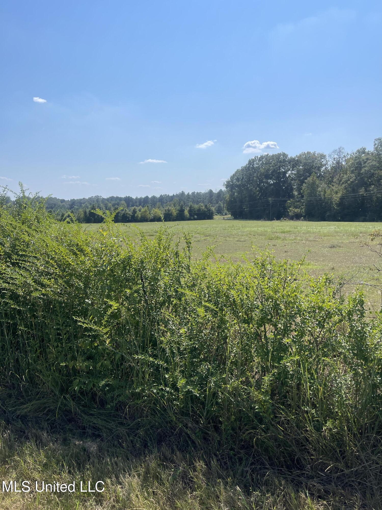 0 Brownswell Road Wesson, MS 39191 - Photo 9 of 13 IMG_4250