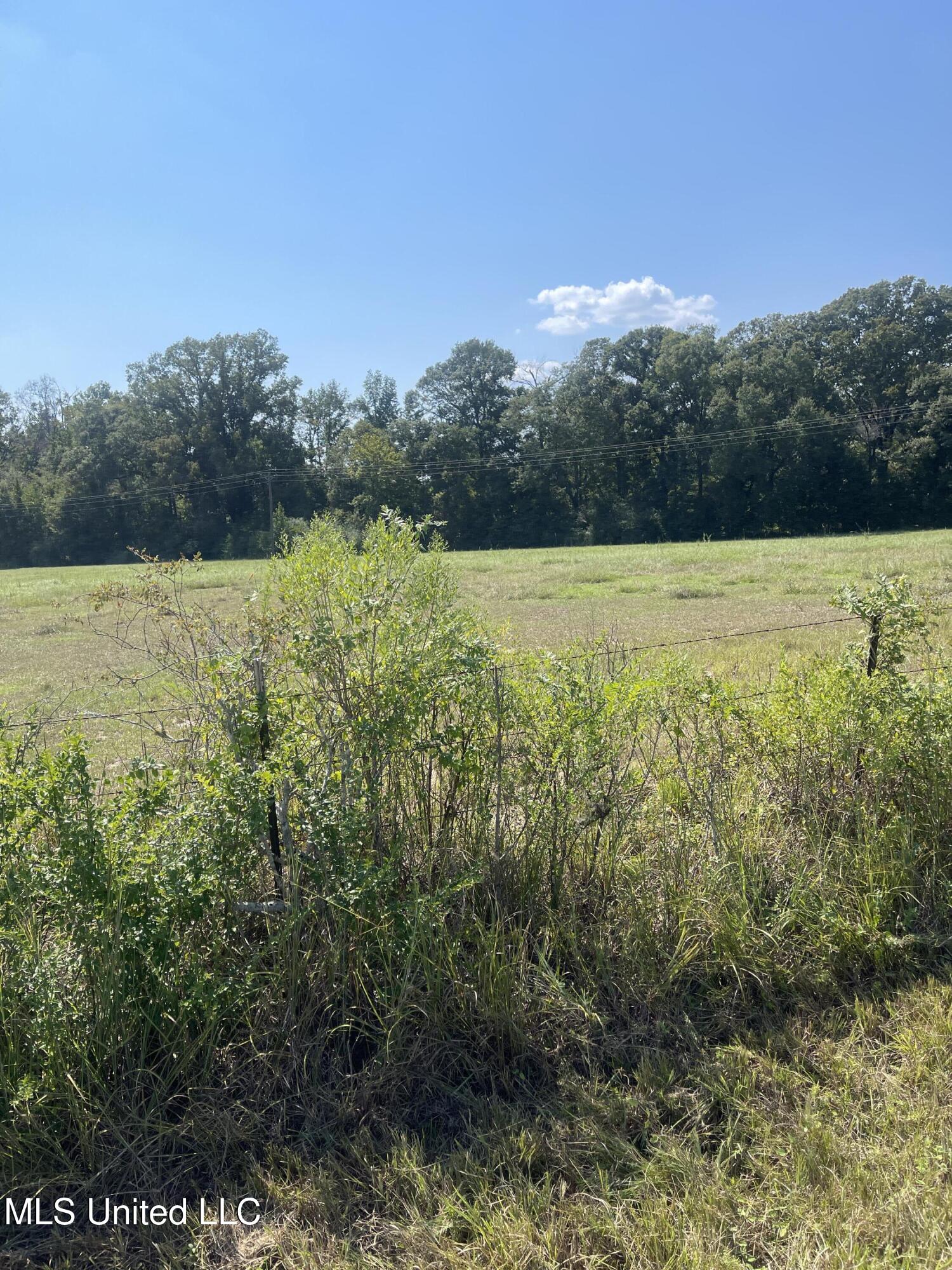 0 Brownswell Road Wesson, MS 39191 - Photo 10 of 13 IMG_4251